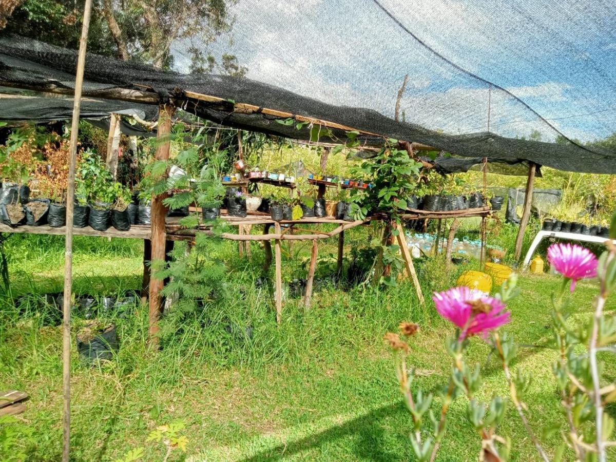 Hospedaje Y Zona De Camping Pistacho ξενώνας Villa de Leyva Εξωτερικό φωτογραφία