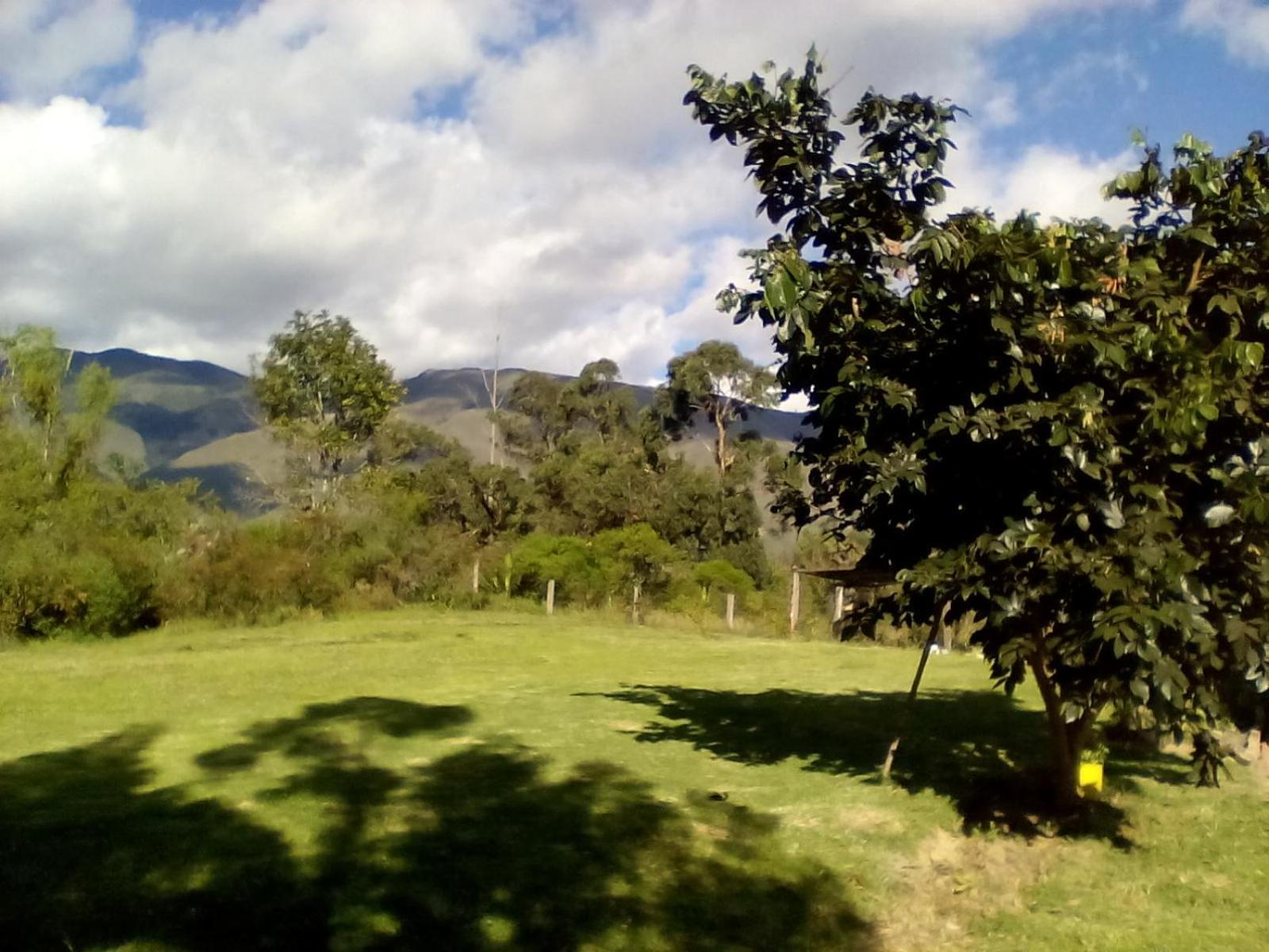 Hospedaje Y Zona De Camping Pistacho ξενώνας Villa de Leyva Εξωτερικό φωτογραφία