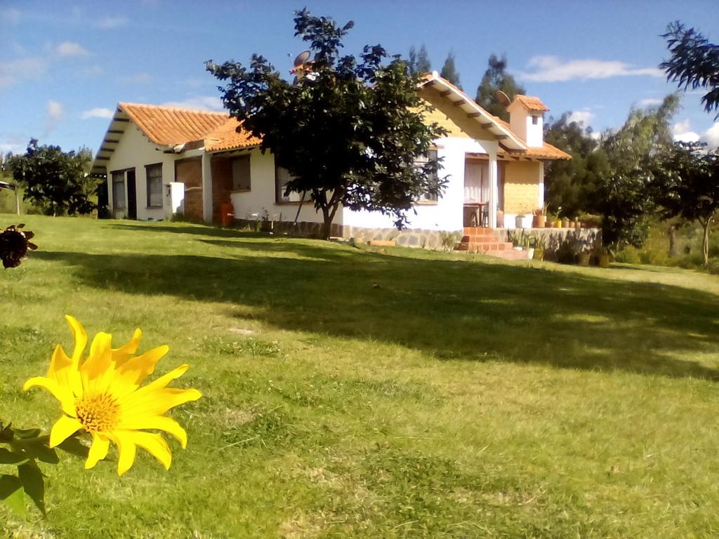 Hospedaje Y Zona De Camping Pistacho ξενώνας Villa de Leyva Εξωτερικό φωτογραφία