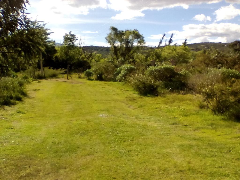 Hospedaje Y Zona De Camping Pistacho ξενώνας Villa de Leyva Εξωτερικό φωτογραφία